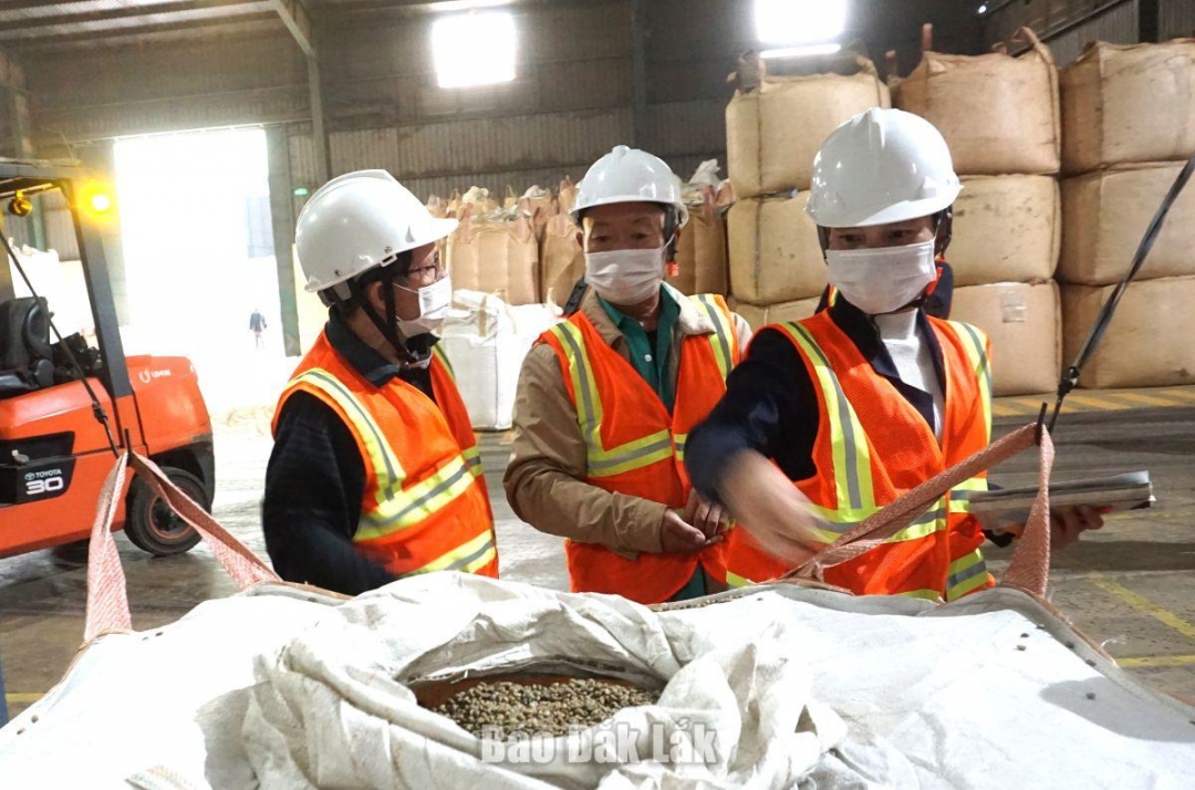 của Hội Thương mại và Công nghiệp tỉnh AttapeuĐoàn công tác đã đến thăm, làm việc tại Công ty Cổ phần Xuất nhập khẩu Nutrisoil; Công ty TNHH MTV Xuất nhập khẩu 2-9 Đắk Lắk và Công ty Cổ phần Đầu tư và Phát triển An Thái.