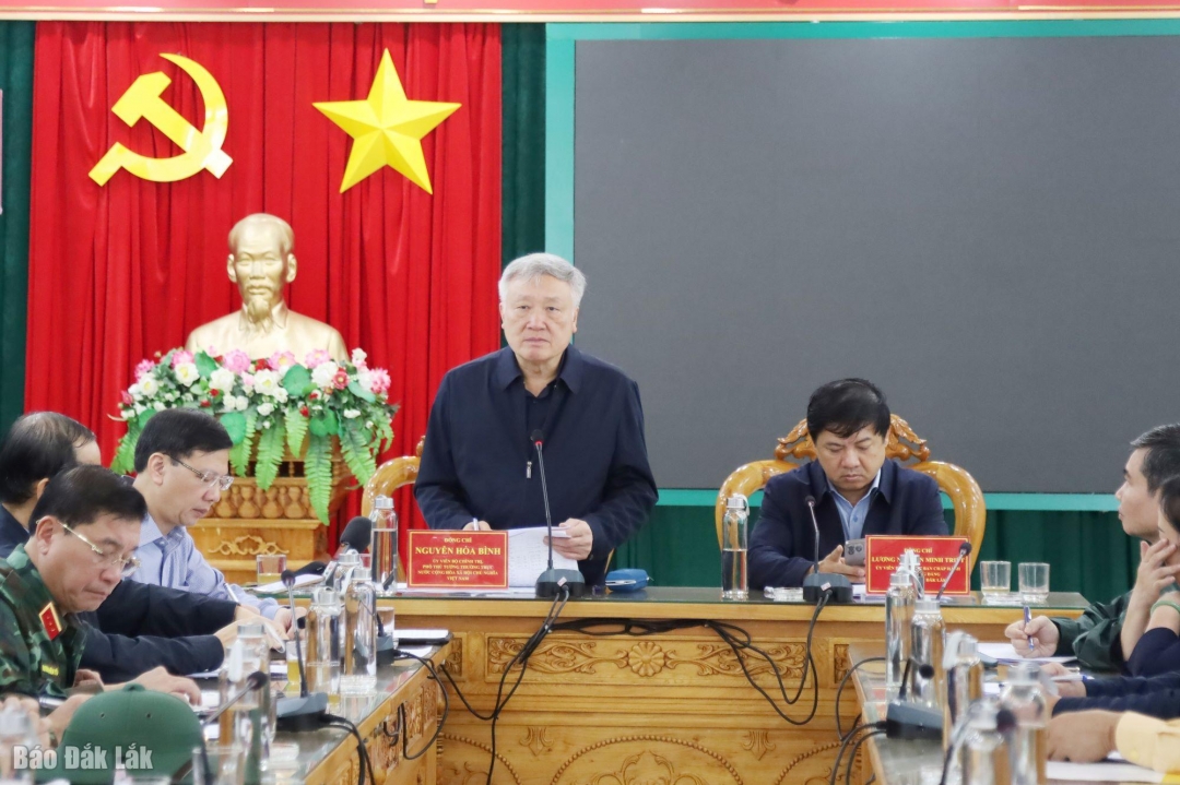 Phó Thủ tướng Thường trực Chính phủ Nguyễn Hòa Bình phát biểu chỉ đạo cuộc họp.