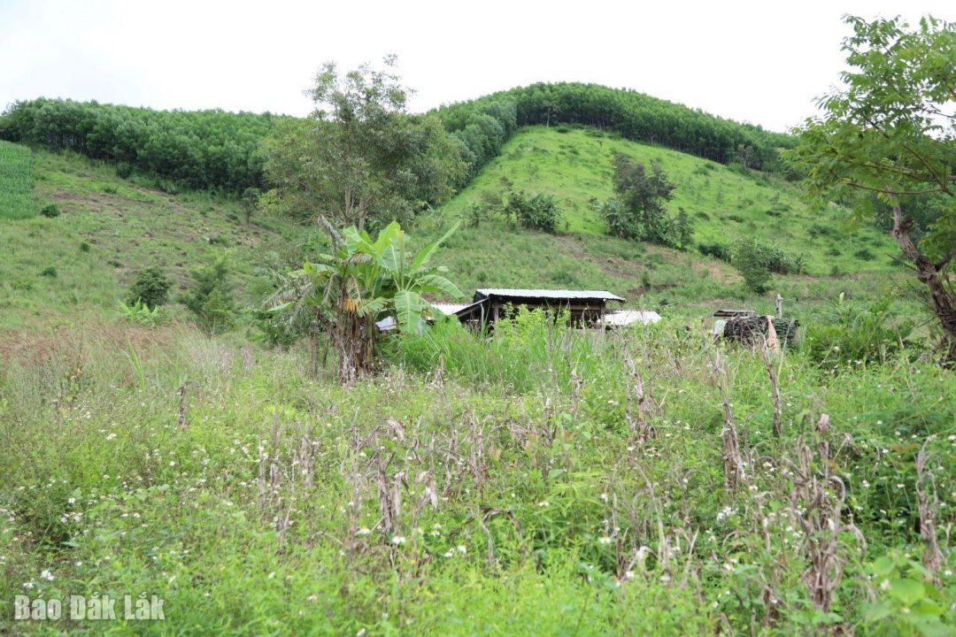 Một điểm có nguy cơ sạt lở xuống nhà nhân.