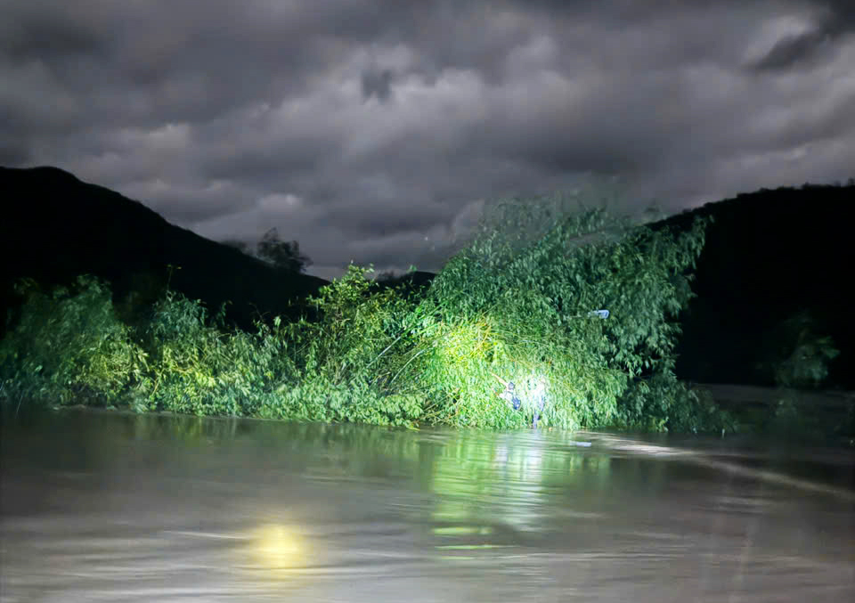 Khoảnh khắc hai nạn nhân cầu cứu trên ngọn tre. Ảnh: CTV