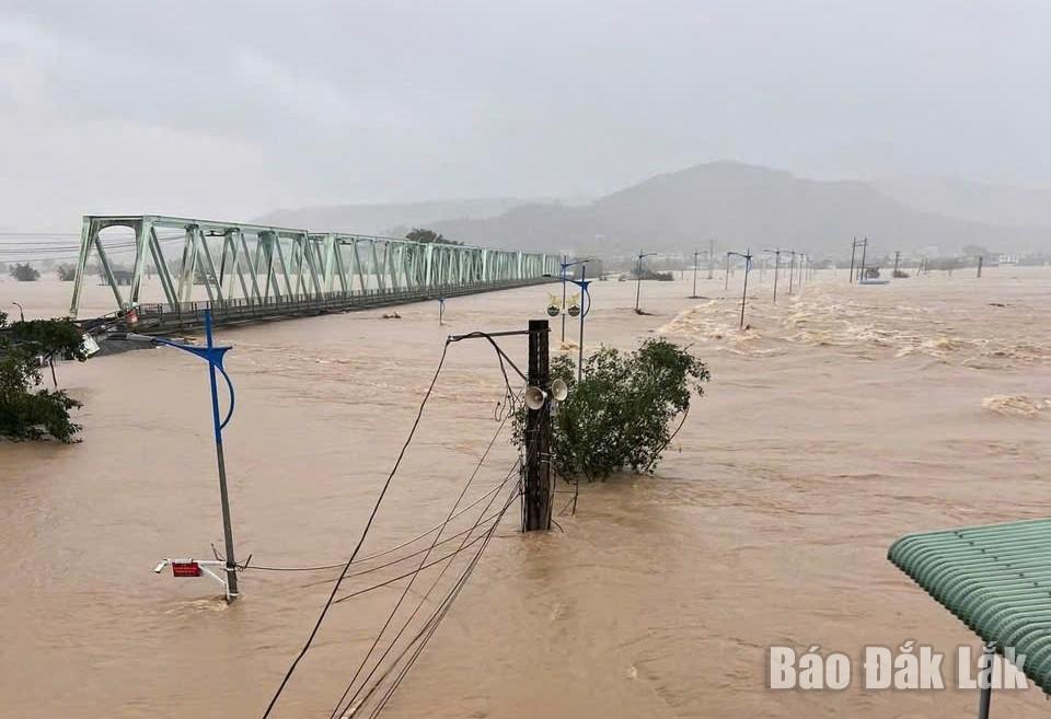 Nước gần ngập hết cột điện tại xã xã Đồng Xuân.