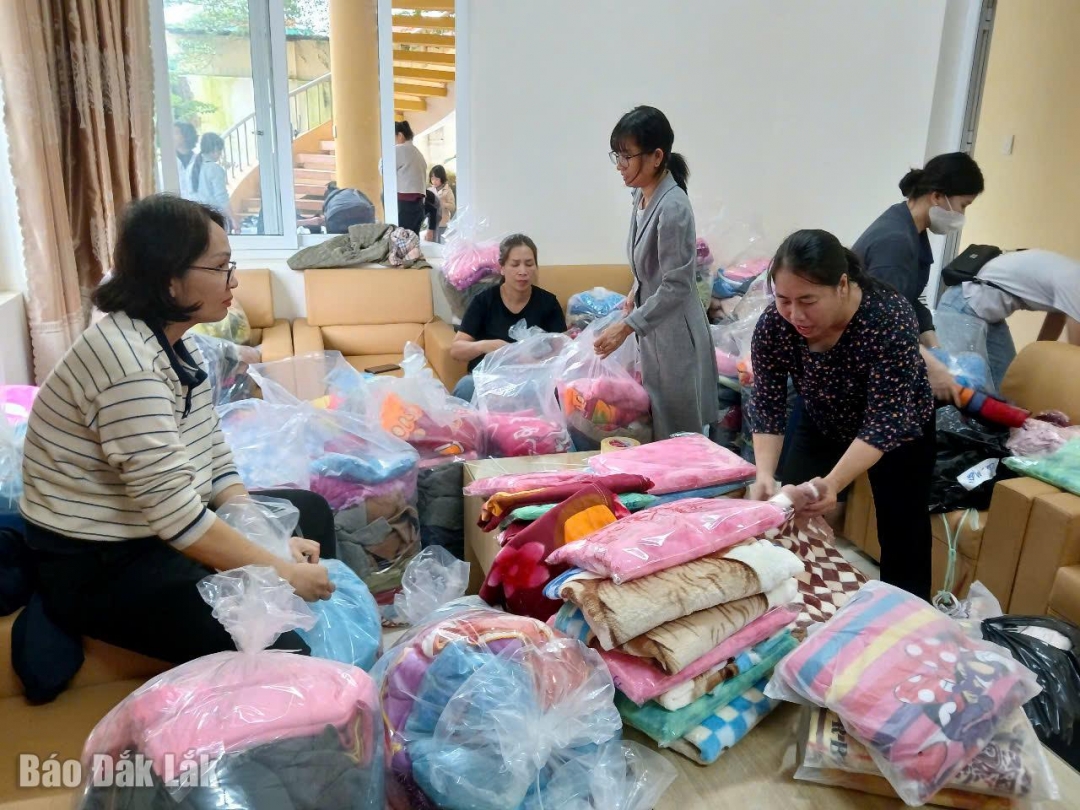 Phón viên Báp và Phát thanh, Truyền hình tỉnh phân loại