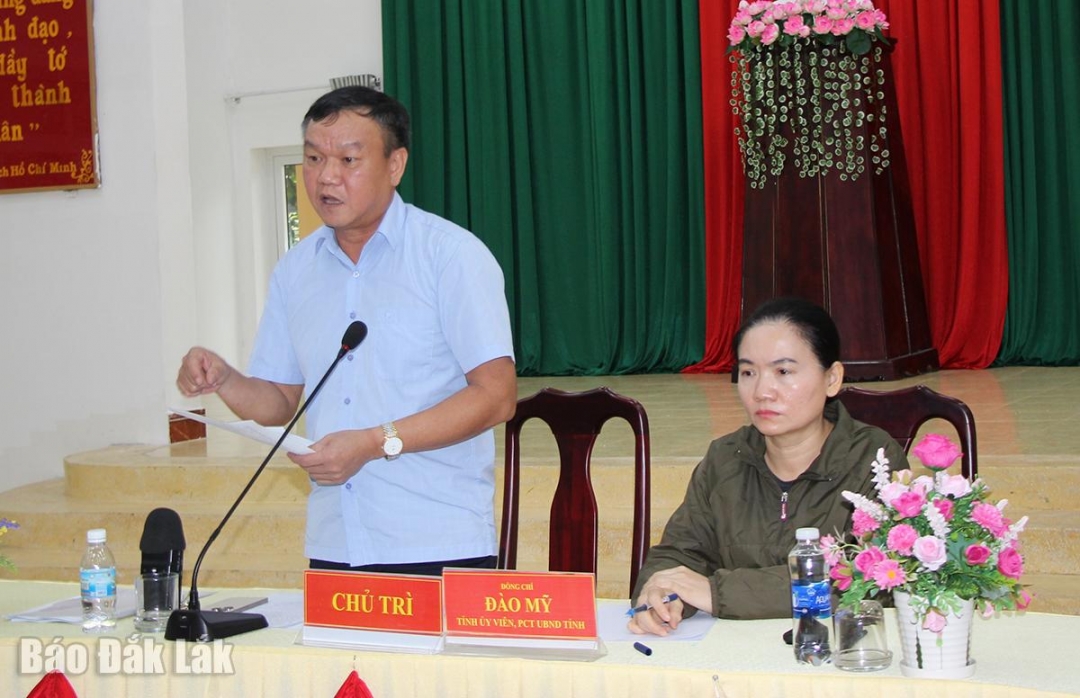 Phó Chủ tịch UBND tỉnh Đào Mỹ phát biểu chỉ đạo hội nghị.