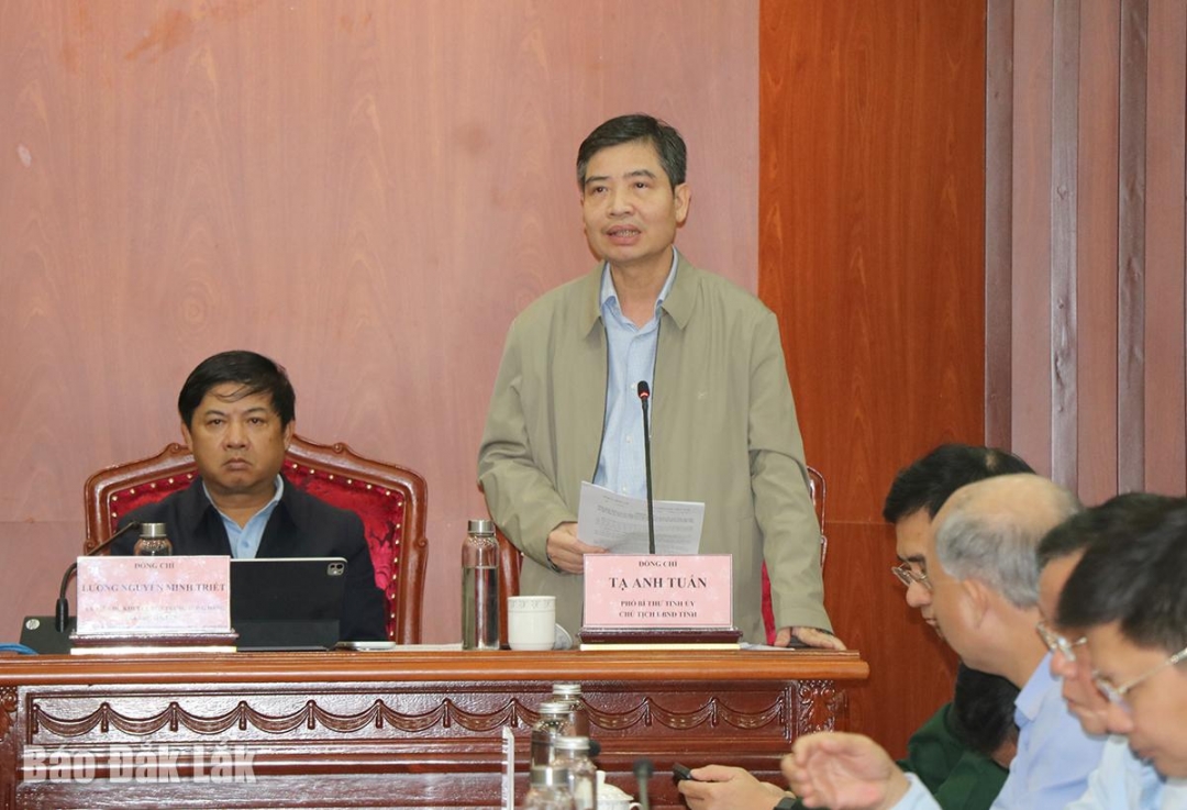 Chủ tịch UBND tỉnh Tạ Anh Tuấn phát biểu tại cuộc họp.