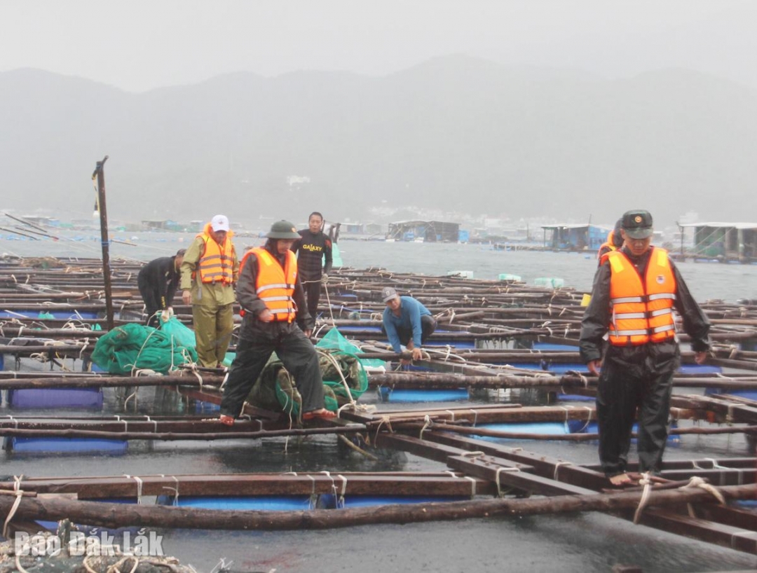 Lực lượng chức năng vận động, tuyên truyền nhắc nhở người dân chằng chống lồng bè và vào bờ tránh bão