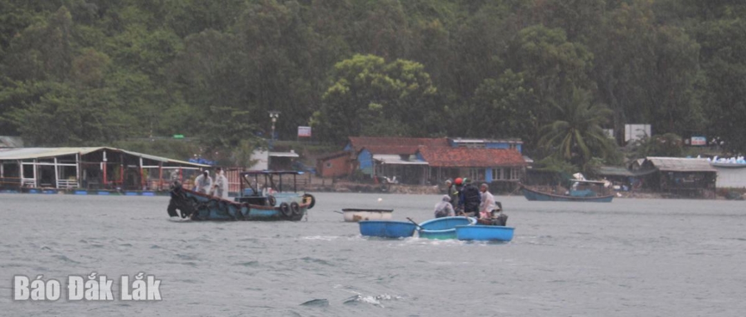 Người dân Vũng Rô tất bật vào bờ tránh bão.