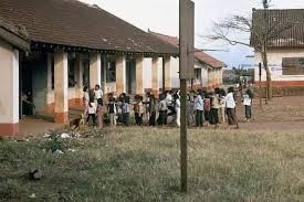 Ảnh minh họa: Internet