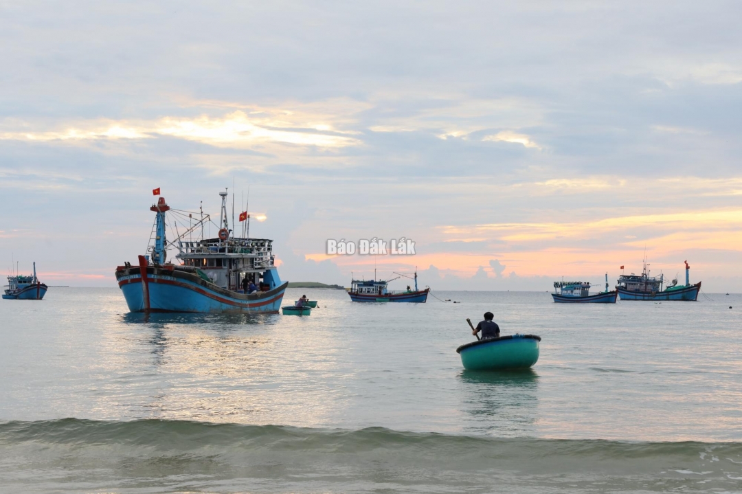 Các tàu thuyền đang hoạt động khai thác, đánh bắt thủy, hải sản trên biển thực hiện nghiêm lệnh cấm biển.