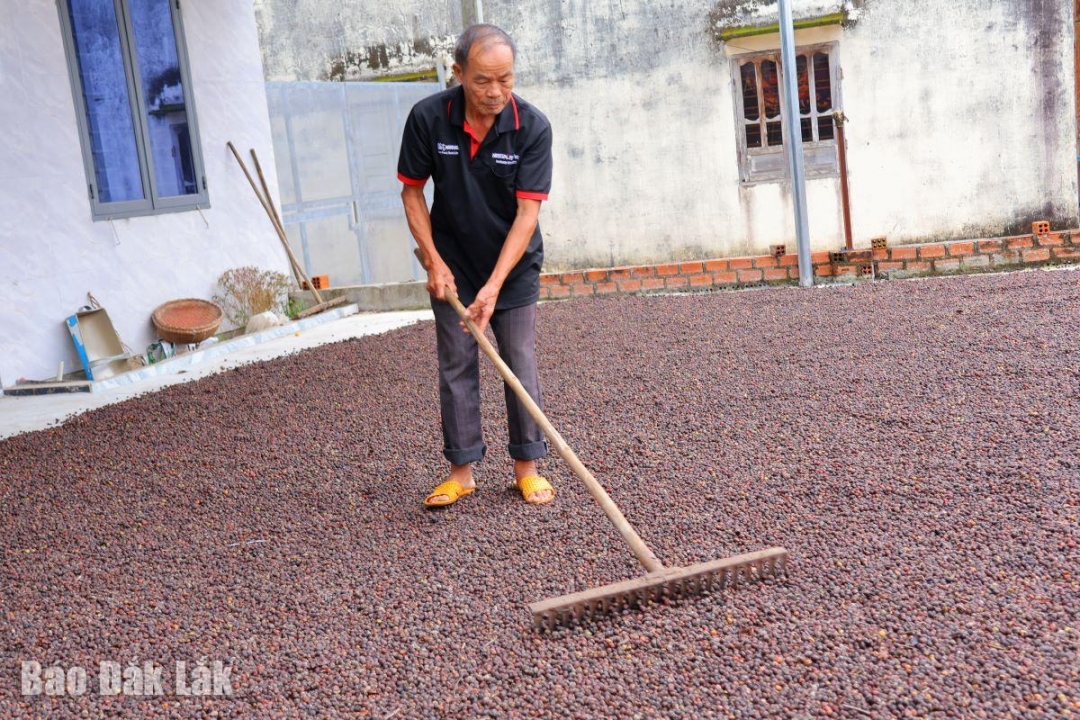 Sự cần mẫn trong lao động sản xuất của người uy tín không chỉ giúp phát triển kinh tế gia đình mà còn là cách tuyên truyền hiệu quả về trách nhiệm làm ăn chân chính, tuân thủ pháp luật trong sản xuất kinh doanh,