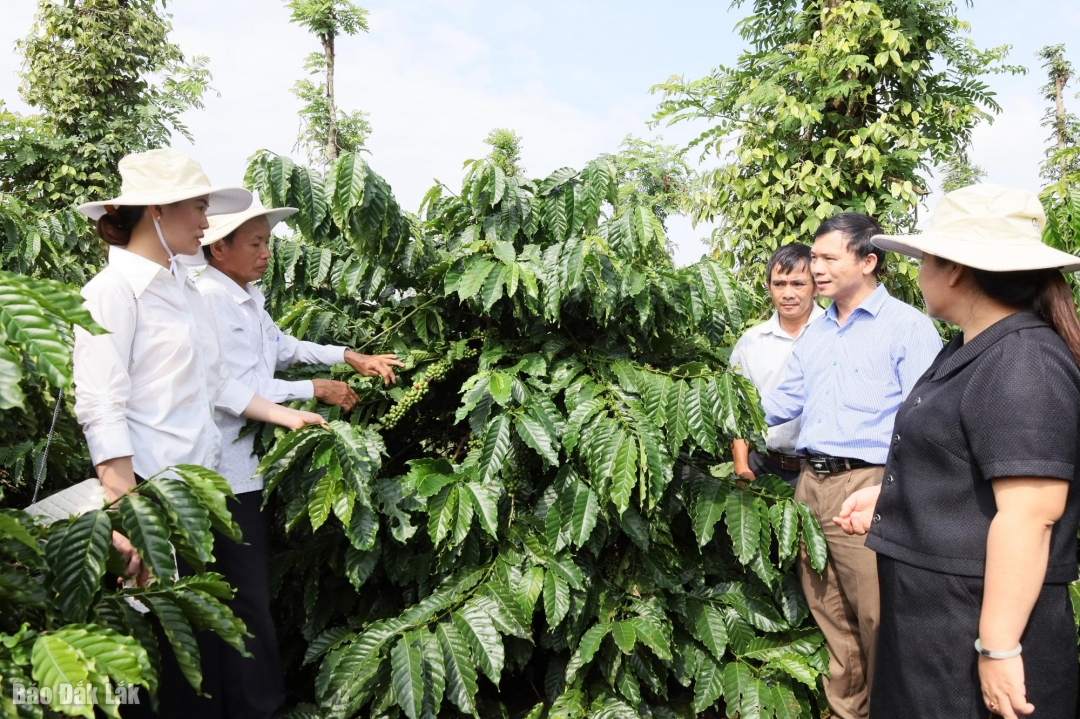 Để bước ra toàn cầu một cách bền vững, kết nối chuỗi là tầm nhìn chiến lược tất yếu.