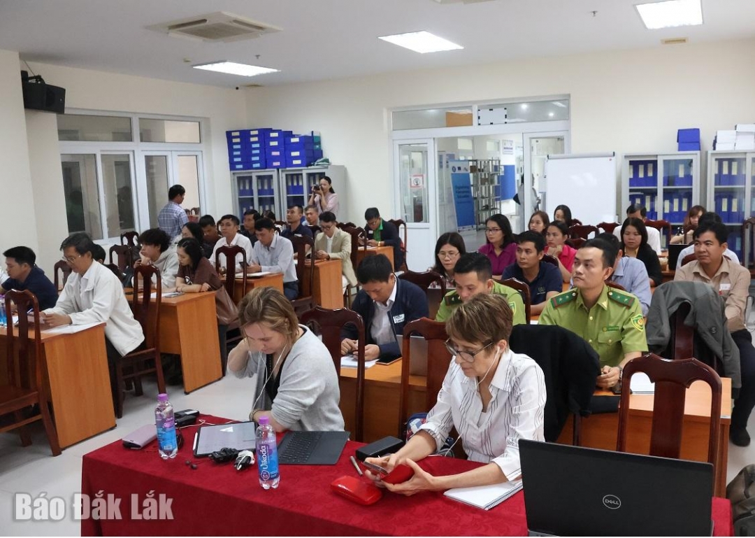 Các đại biểu tham dự cuộc họp.