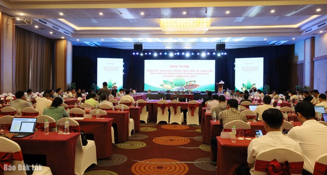 Các đại biểu tham dự hội nghị.