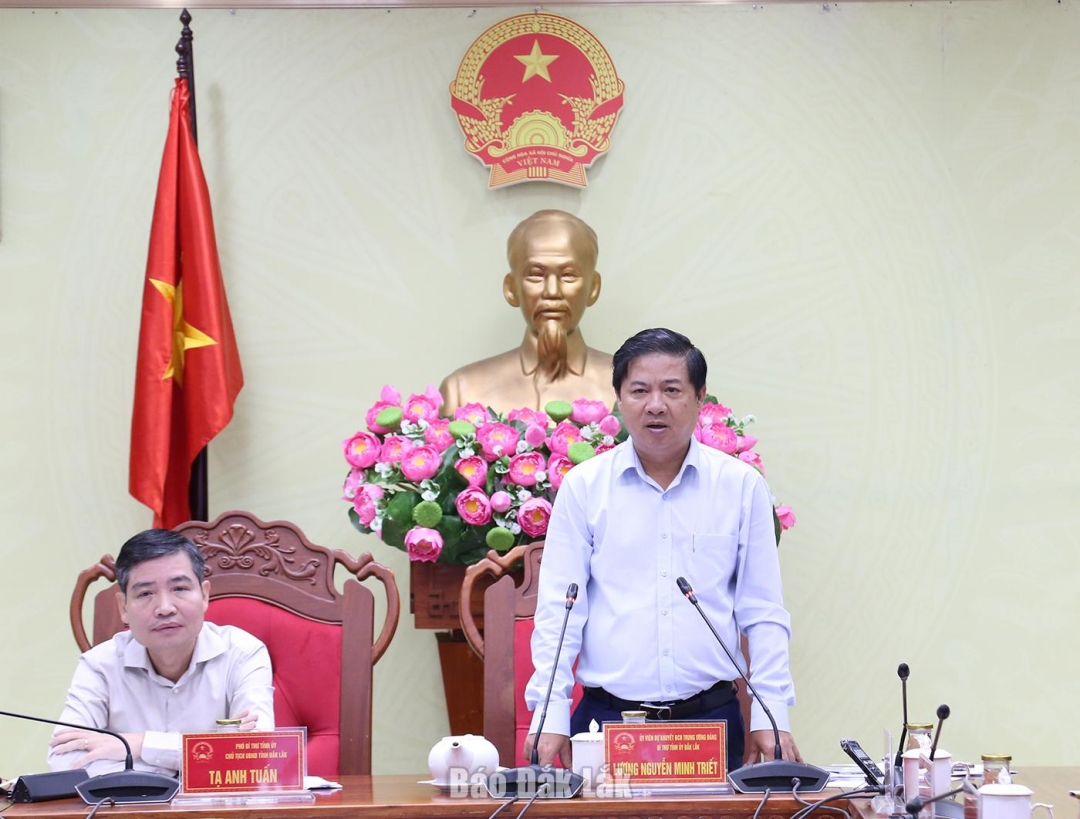 Ủy viên dự khuyết Ban Chấp hành Trung ương Đảng, Bí thư Tỉnh ủy Lương Nguyễn Minh Triết phát biểu tại hội nghị