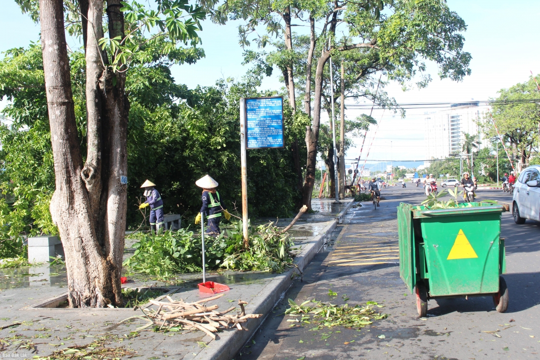 Nhân viên môi trường dọn dẹp cây xanh bị ngã, đổ trên các tuyến đường.