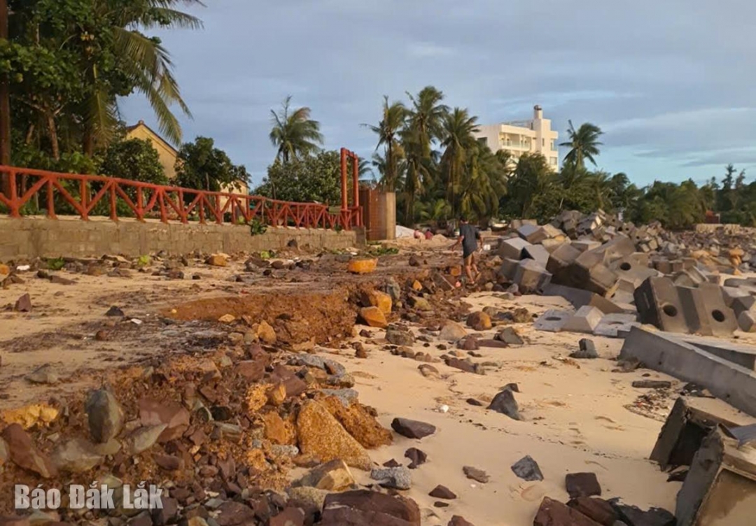 Đường thi công công trình Xử lý khẩn cấp, khắc phục sạt lở bờ biển An Mỹ - An Chấn bị sóng cuốn gây hư hại.