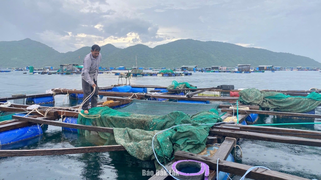 Lồng bè nuôi trồng thủy sản