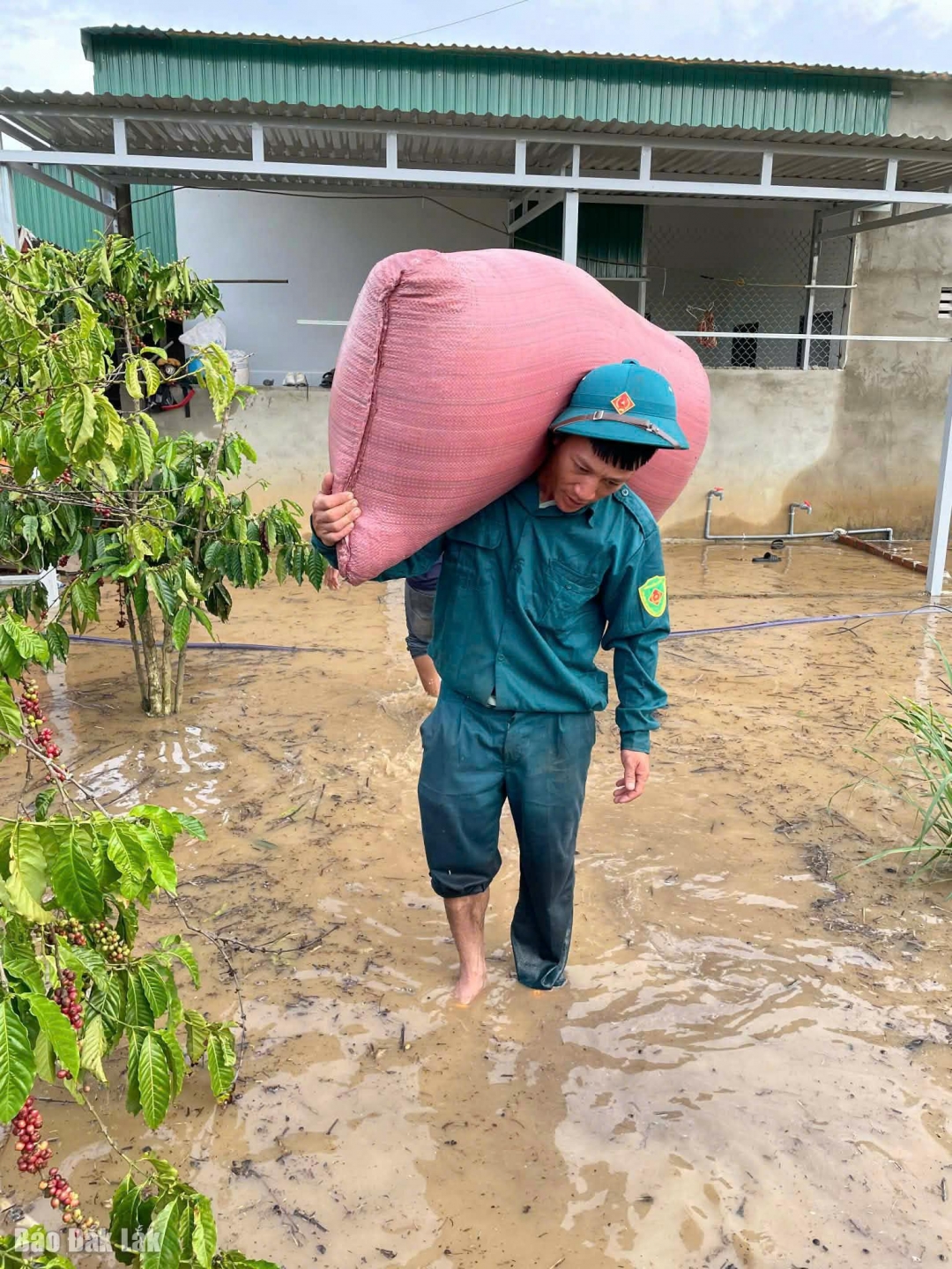 Lực lượng dân quân tự vệ xã Vụ Bổn hỗ trợ người dân di dời tài sản ra khỏi khu vực ngập lụt.