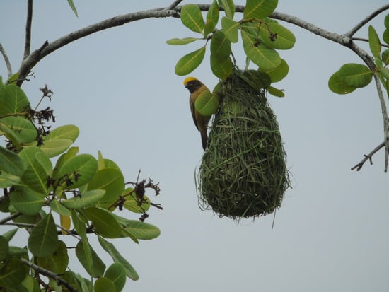 Ảnh minh họa: Internet