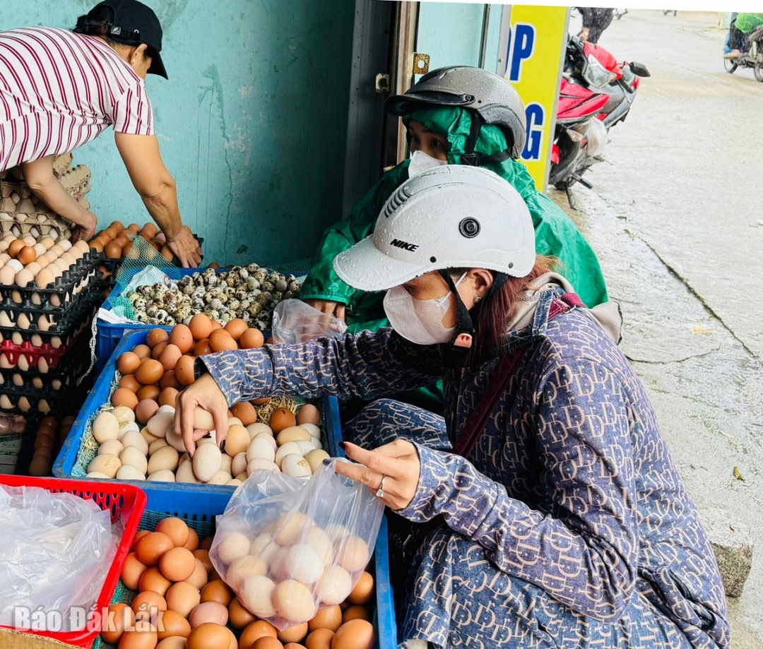 Người dân phường Tuy Hòa tranh thủ tích trữ thực phẩm.