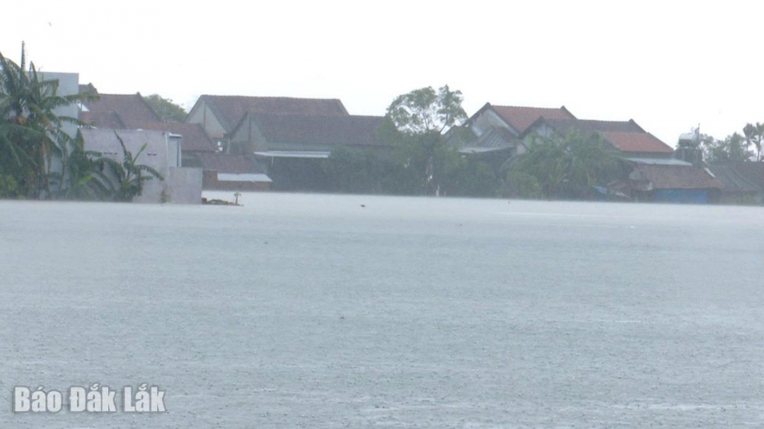 Hàng ngàn ngôi nhà chìm của người dân xã Hòa Mỹ chìm trong biển nước.