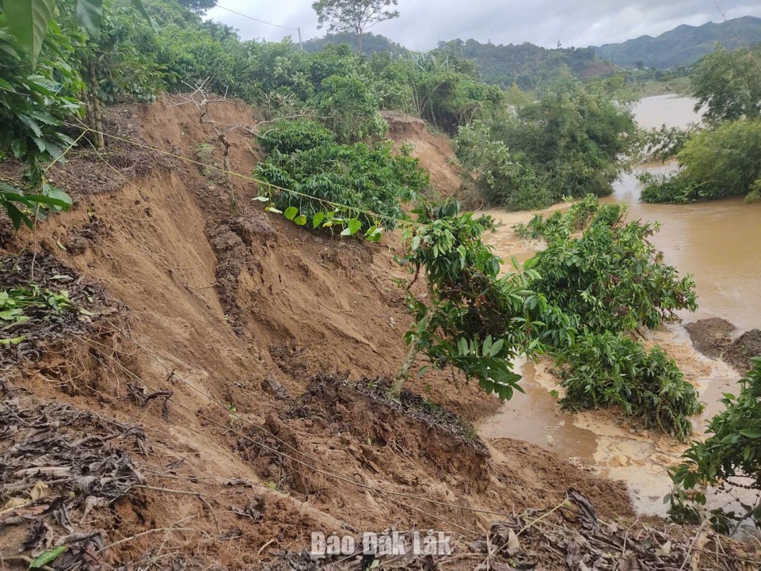 Một vị trí sạt lở, vuốn trôi cây trồng của người dân trên địa bàn xã Nam Ka.