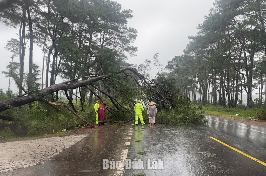Cán bộ Trạm CSGT Krông Búk phát dọn cây cối gãy đổ trên đường Hồ Chí Minh bảo đảm an toàn cho người dân khi lưu thông.