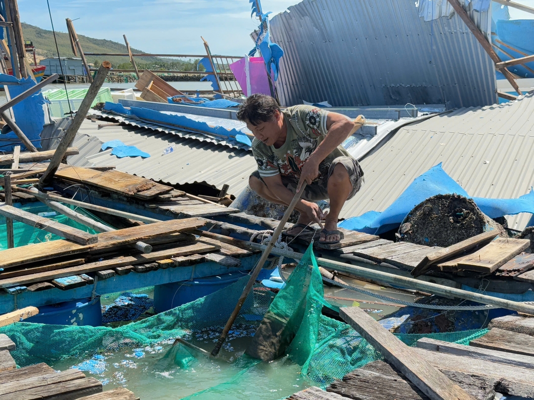 Một người dân xã Xuân Cảnh ra lồng bè, vớt vát những gì còn lại sau bão Kalmaegi. Ảnh: Ngô Xuân