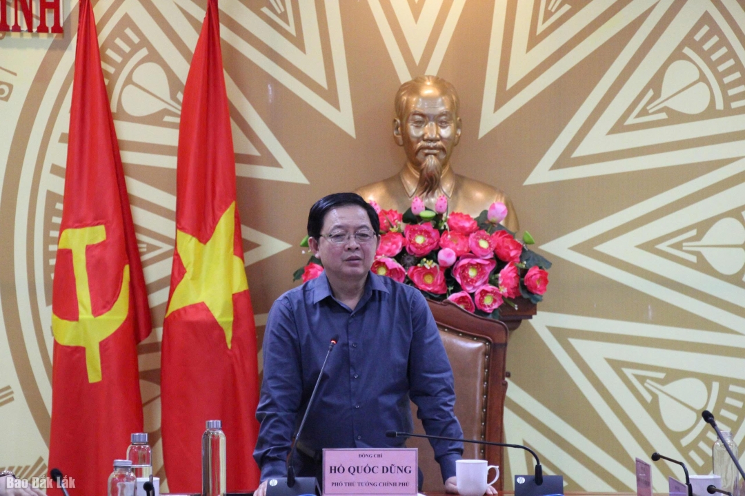 Phó Thủ tướng Hồ quốc Dũng phát biểu chỉ đạo tại buổi làm việc.