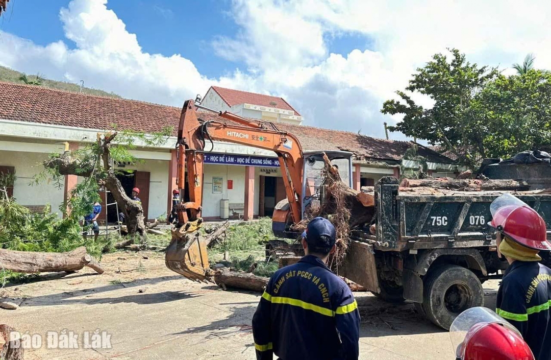Lực lượng chức năng đưa thiết bị cơ giới hỗ trợ các trường dọn dẹp cây xanh bị đổ.