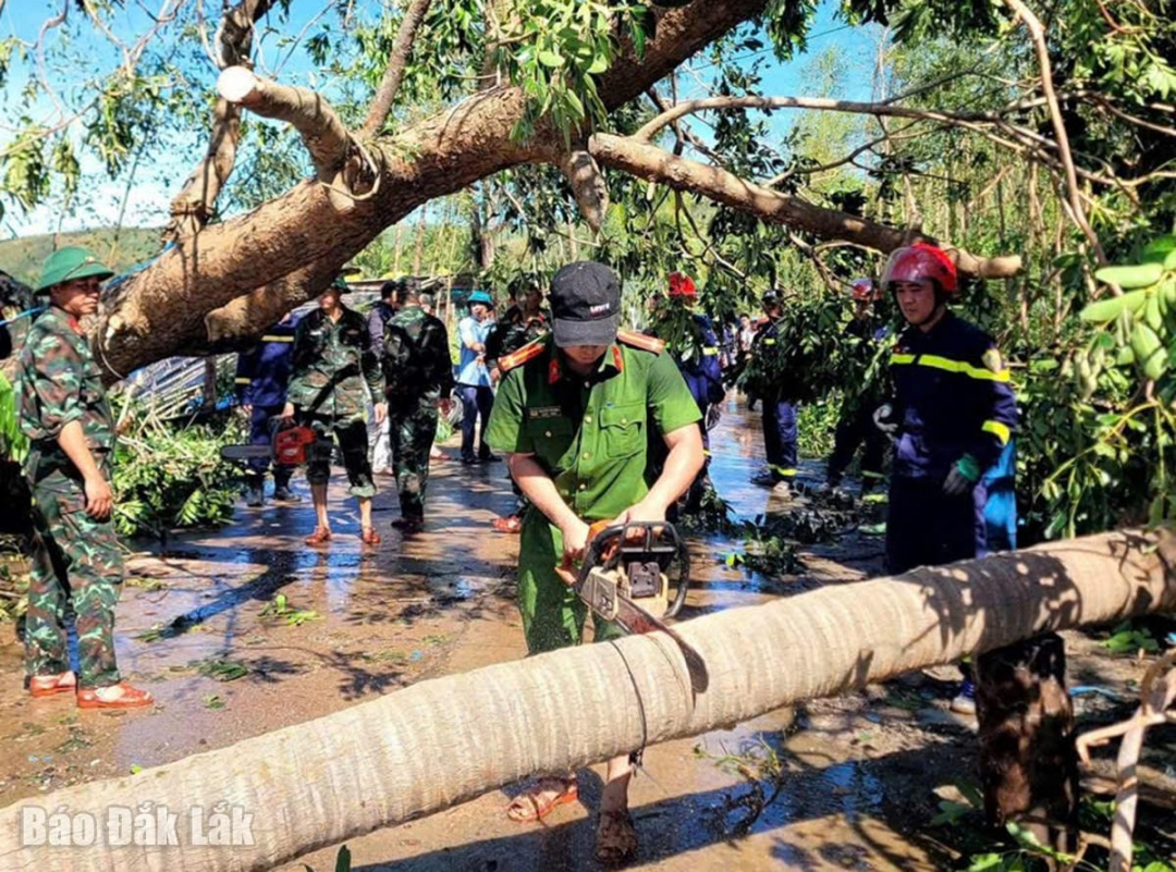 Lực lượng chức năng cắt cây bị ngã đổ trên đường tại phường Sông Cầu.
