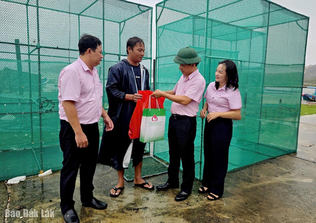 Lãnh đạo Chi nhánh NHCSXH tỉnh Đắk Lắk trao quà cho hộ vay Nguyễn Ngọc Tâm ở phường Sông Cầu.