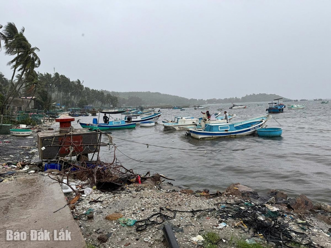 Các tàu thuyền đã cơ bản được neo đậu an toàn tránh bão.