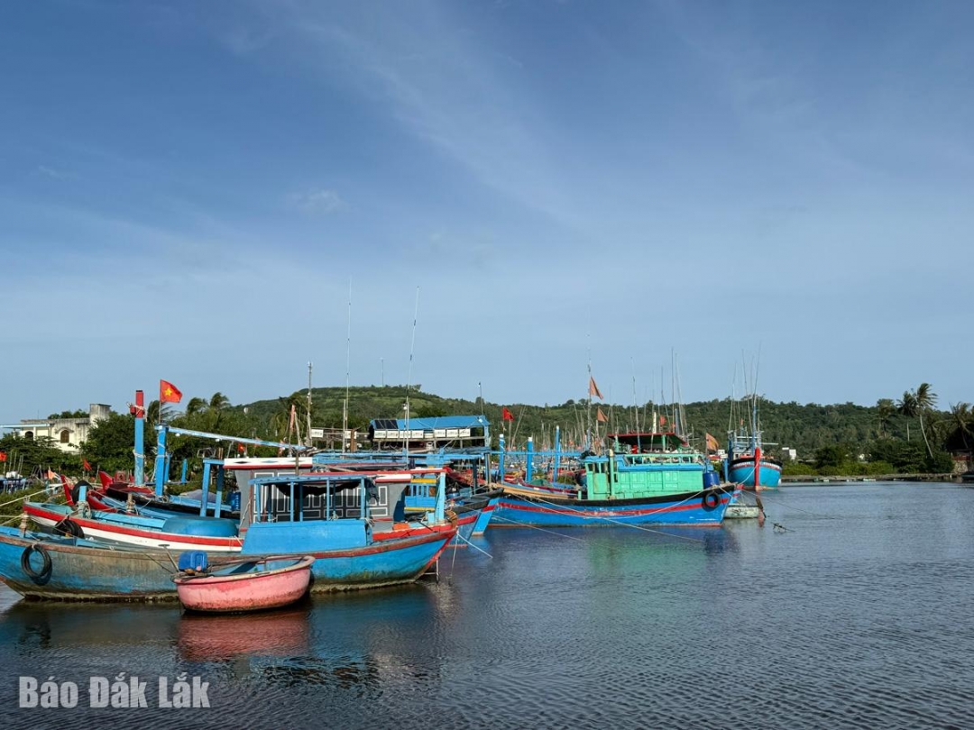 Tàu thuyền của ngư dân xã Tuy An Đông đã được neo đậu tại bờ an toàn trước bão số 13.