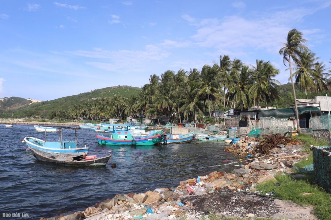 Tàu thuyền của ngư dân phường Sông Cầu đã được đưa về neo đậu. Ảnh: Tuyết Hương