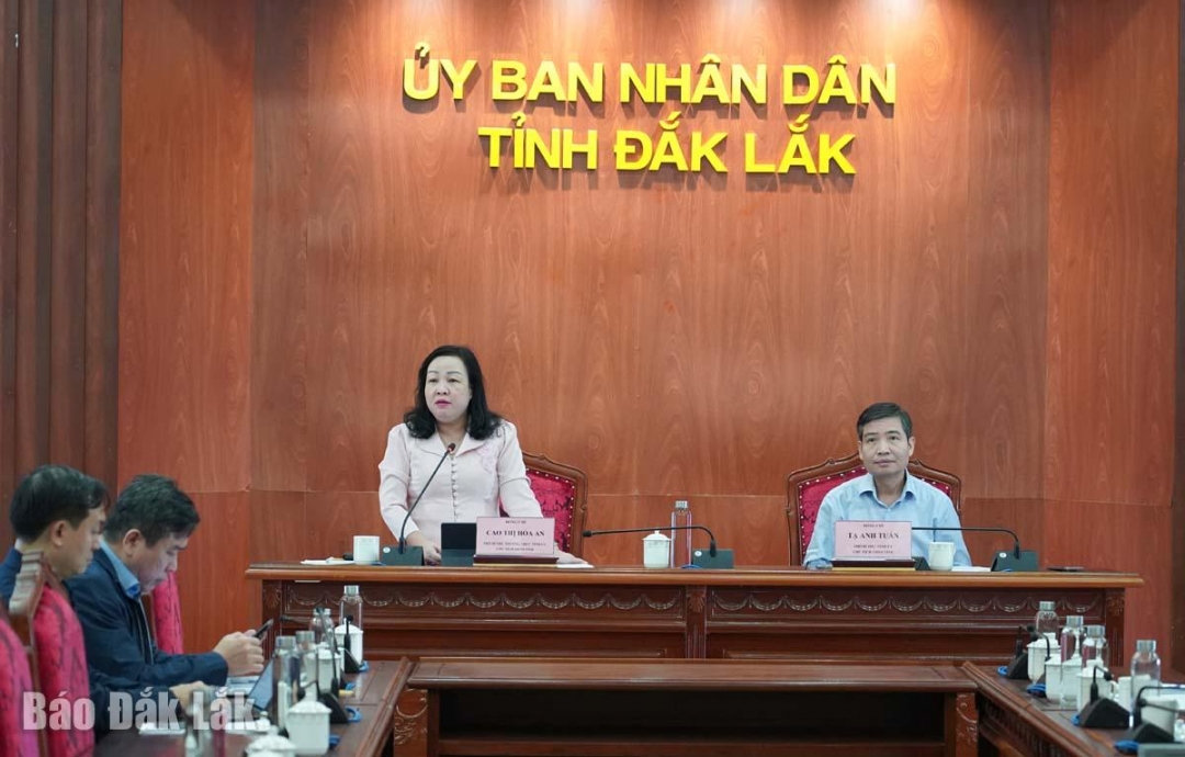 Phó Bí thư Thường trực Tỉnh ủy, Chủ tịch HĐND tỉnh Cao Thị Hòa An chỉ đạo tại cuộc họp