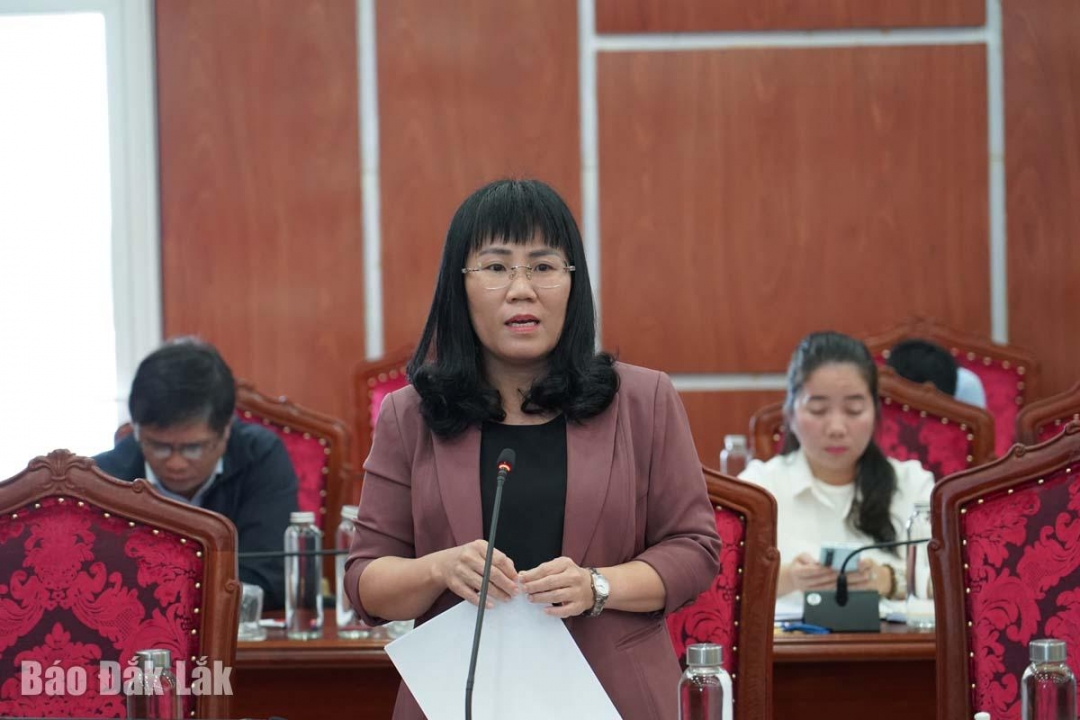 Đồng chí Hồ Thị Nguyên Thảo, Phó Chủ tịch Thường trực UBND tỉnh phát biểu tại cuộc họp.