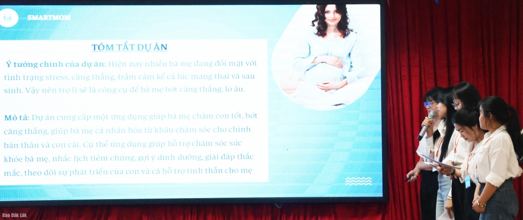 Thí sinh trình bày dự án tại cuộc thi.