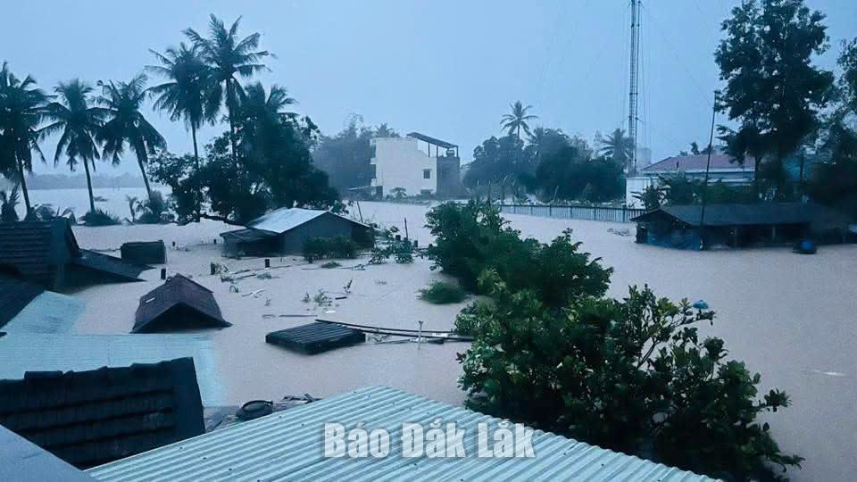 Nhiều khu vực của xã Tuy An Bắc ngập sâu trong nước.