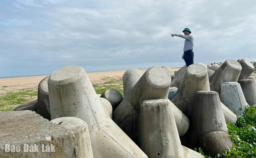 Bờ kè chắn sóng bảo đảm an toàn cho người dân phía trong.