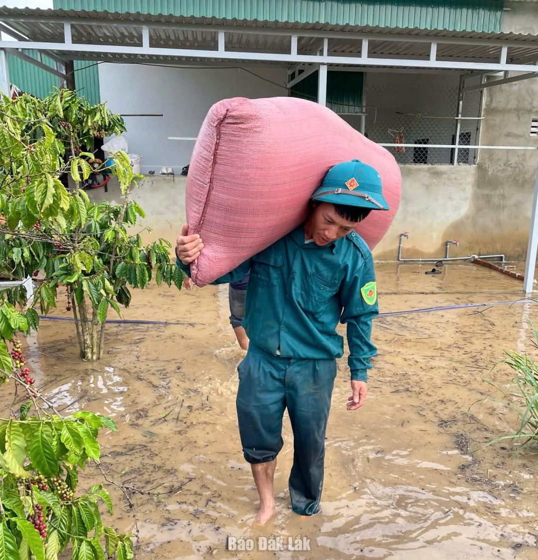 Lực lượng chức năng xã Vụ Bổn hỗ trợ dân vận chuyển lúa đến nơi khô ráo.