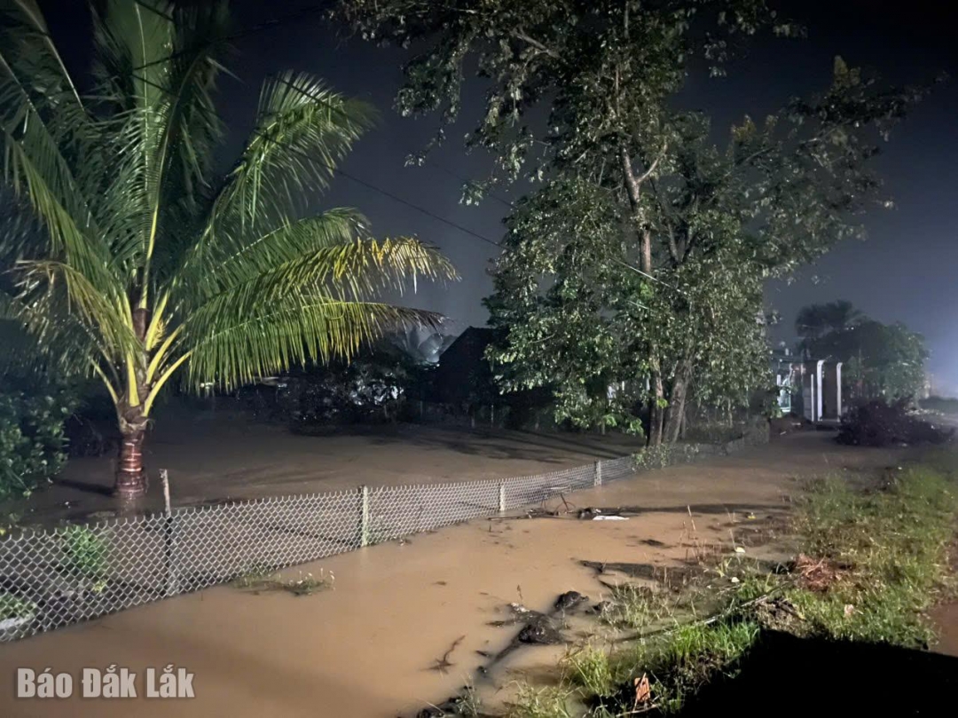 Nhiều diện tích đất sản xuất và nhà dân ở xã Vụ Bổn bị ngập lụt.