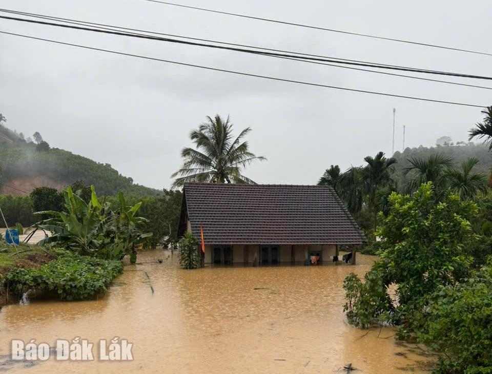 Nhiều khu vực của xã Yang Mao bị ngập sâu trong nước.