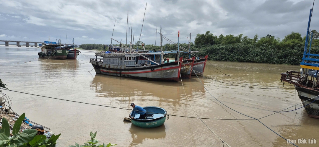 Ngư dân phường Tuy Hòa neo đậu thuyền tránh bão. Ảnh: Tuyết Hương