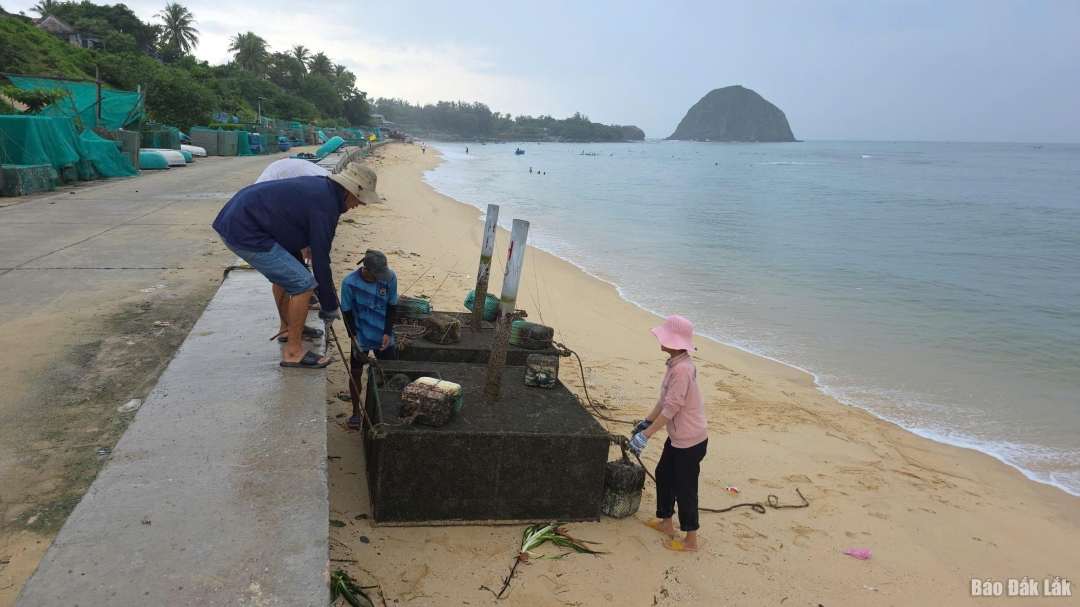 Người dân phường Tuy Hòa đưa dụng cụ nuôi trồng thủy sản đến nơi an toàn. Ảnh: Tuyết Hương
