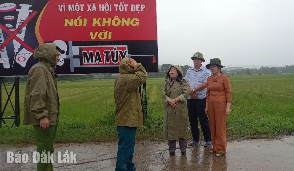 Phó Bí thư Thường trực Tỉnh ủy Cao Thị Hòa An kiểm tra tại khu vực có nguy cơ ngập lụt ở thôn Thế Hiển, xã Tuy An Tây.