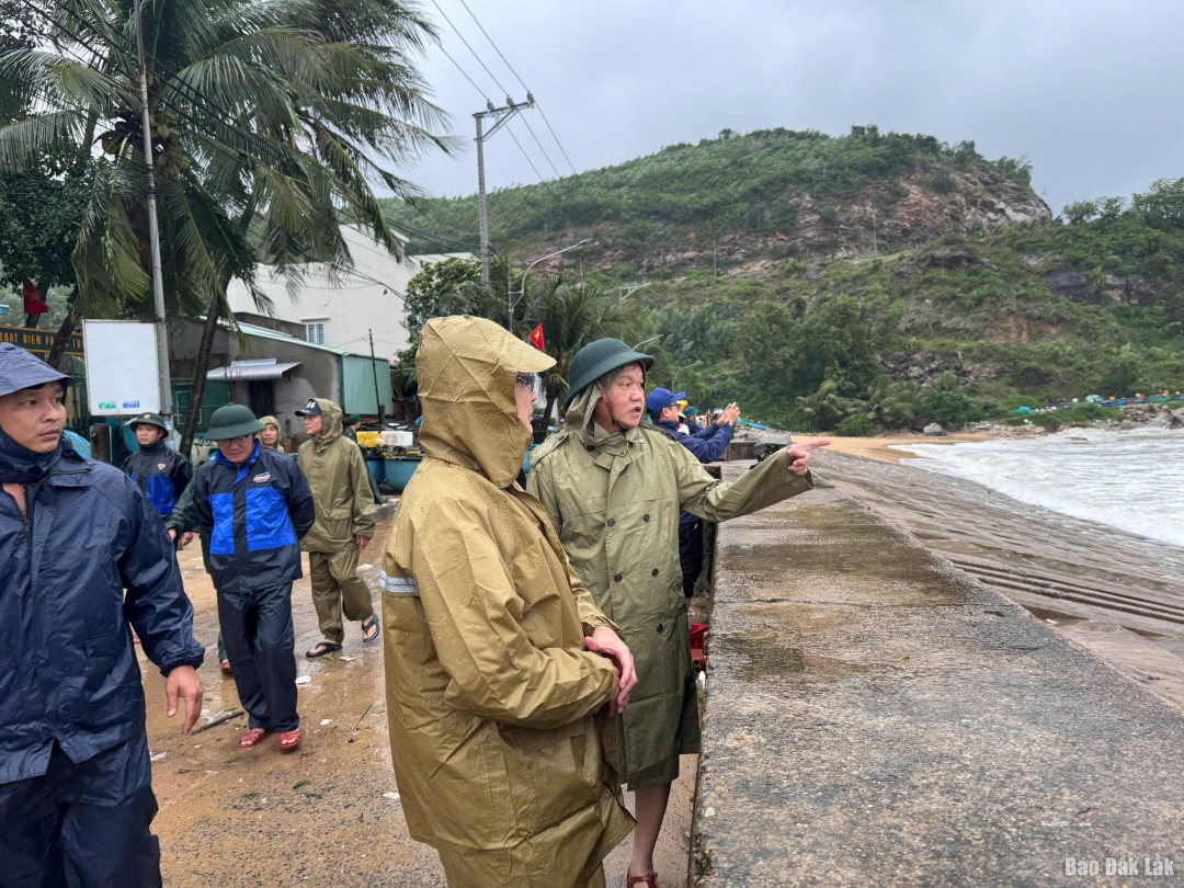 Phó Chủ tịch UBND tỉnh Đào Mỹ kiểm tra công tác ứng phó bão số 13 tại khu vực bờ kè, thôn 2, xã Xuân Lộc.
