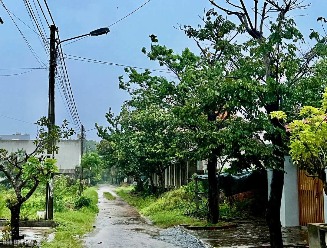 Hệ thống điện chiến sáng tại khu dân cư Liên Trì 2, phường Bình Kiến vào chiều 6/11.