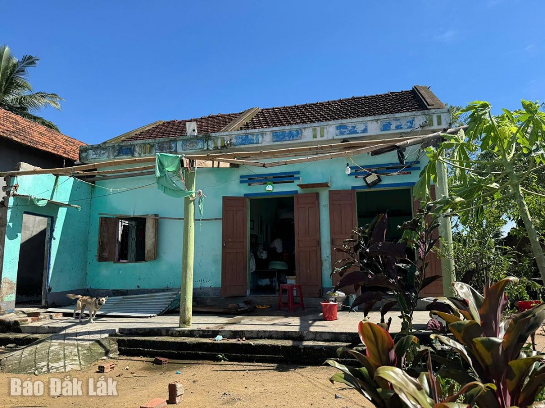 Mái tôn của một gia đình bị tóc mái ở thôn Phú Xuân A, xã Xuân Phước.