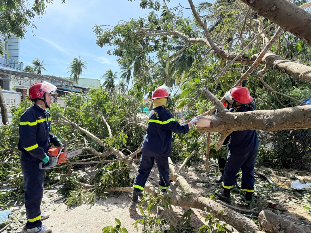 Dọn dẹp cây xanh bị ngã đổ và triều cường bồi lắp gây ách tắt giao thông đoạn Trung Trinh - Vũng La, phường Sông Cầu.