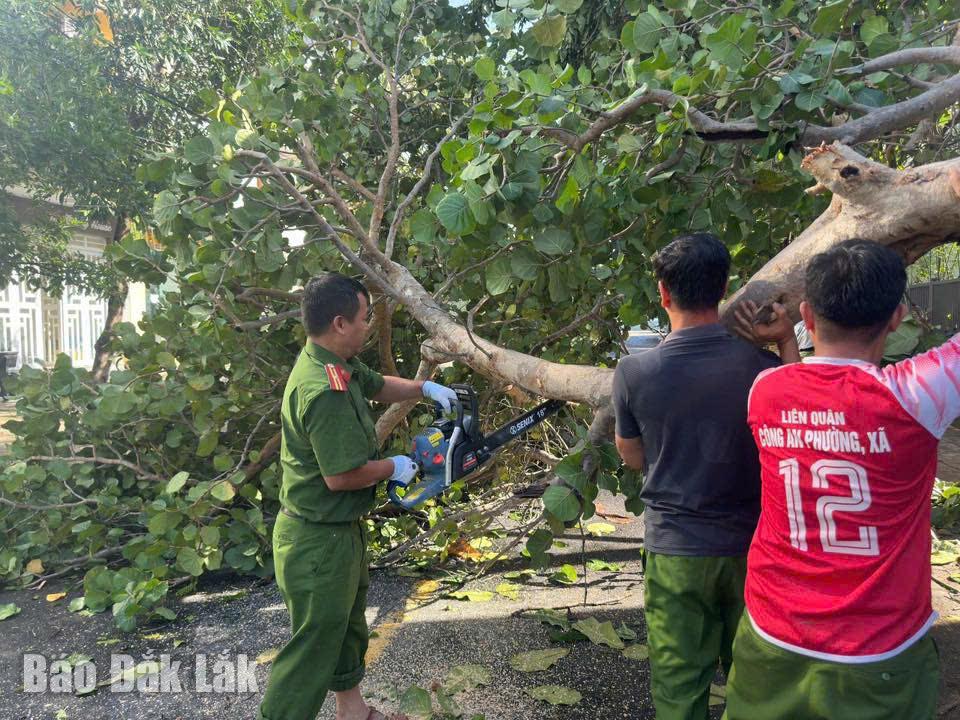 Công an phường Tuy Hòa dọn cây xanh bị quật ngã do bão ở các tuyến đường trên địa bàn.